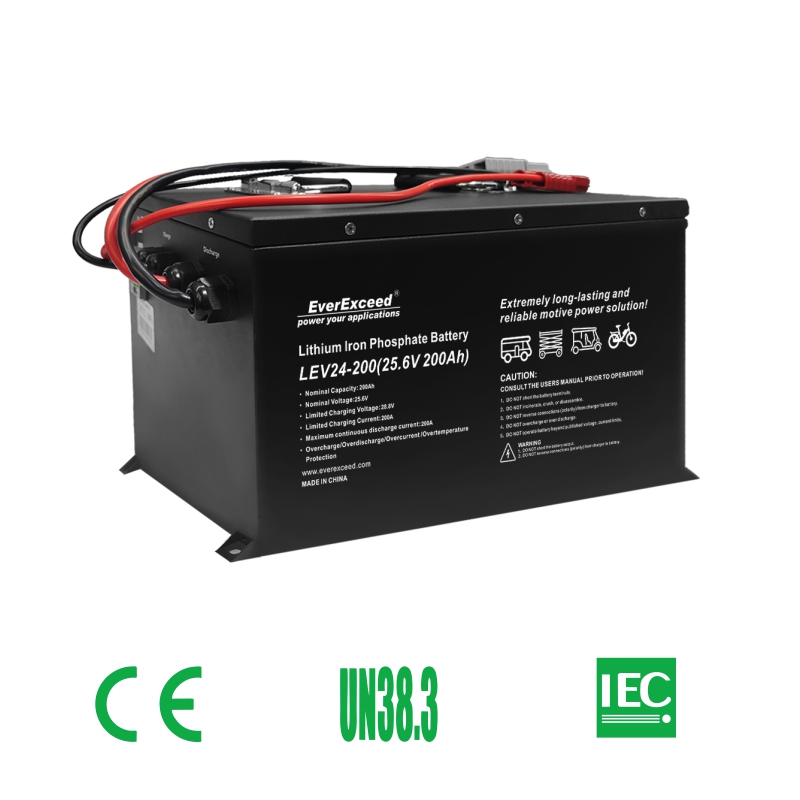 LiFePO4 Storage Battery Pack สำหรับรถยนต์
